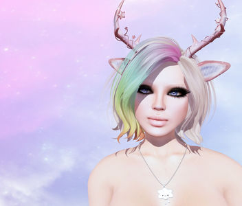 Star Light, Star Bright - image gratuit #316685